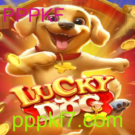 LuckyDog: Descubra o Novo Fenômeno dos Jogos de Cartas